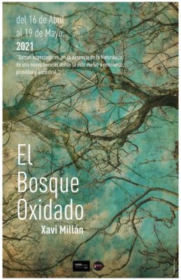 Llega a Visualkorner la exposición de Xavi Millán. Forma parte del Festival Lumínic. Estará disponible desde el 16 de abril hasta el 19 de mayo. 