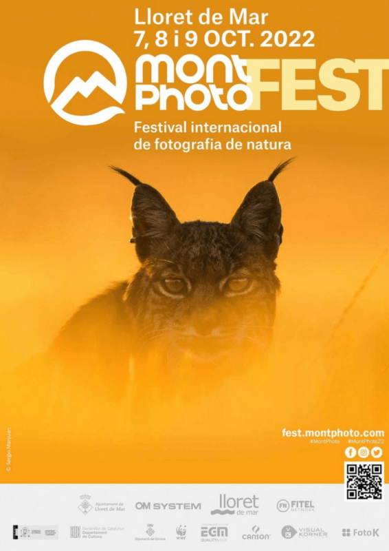 montphoto